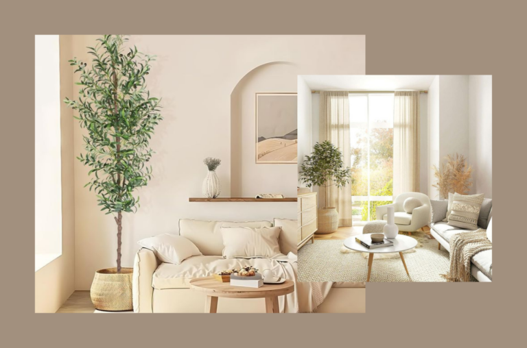 Casa sempre organizada. Salas claras, organizadas, com plantas e muita luz.