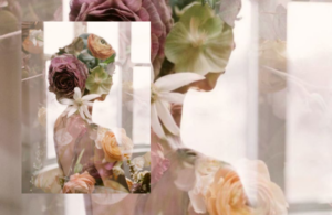Como identificar sua fragrância espiritual pessoal.